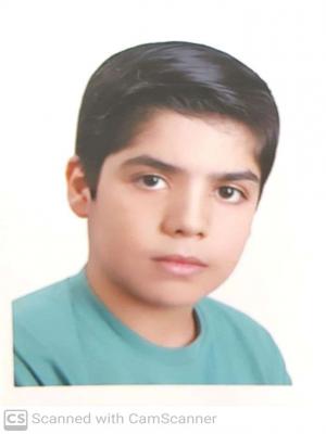 علی مردانی (دانش آموز)