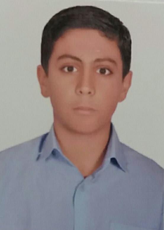 امیر رضا مزگی نژاد (دانش آموز)