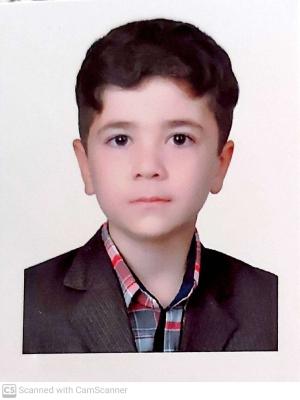 محمدجواد سبزکار (دانش آموز)